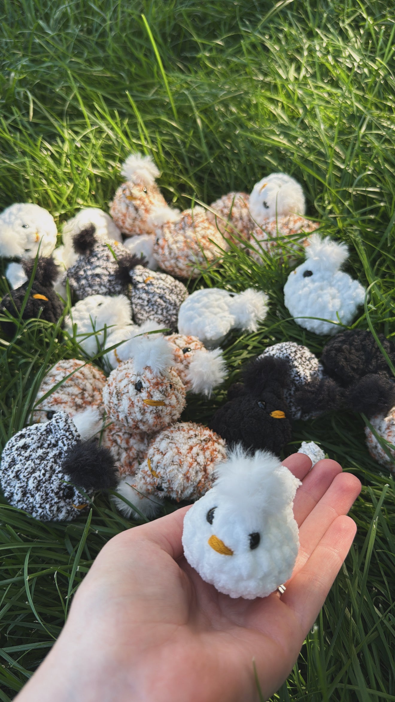 Baby Chick Stuffy