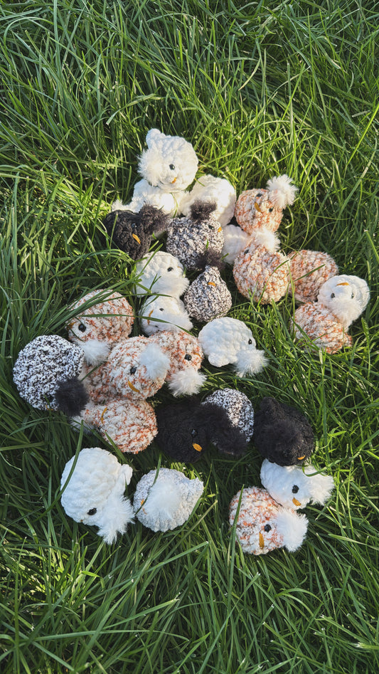 Baby Chick Stuffy