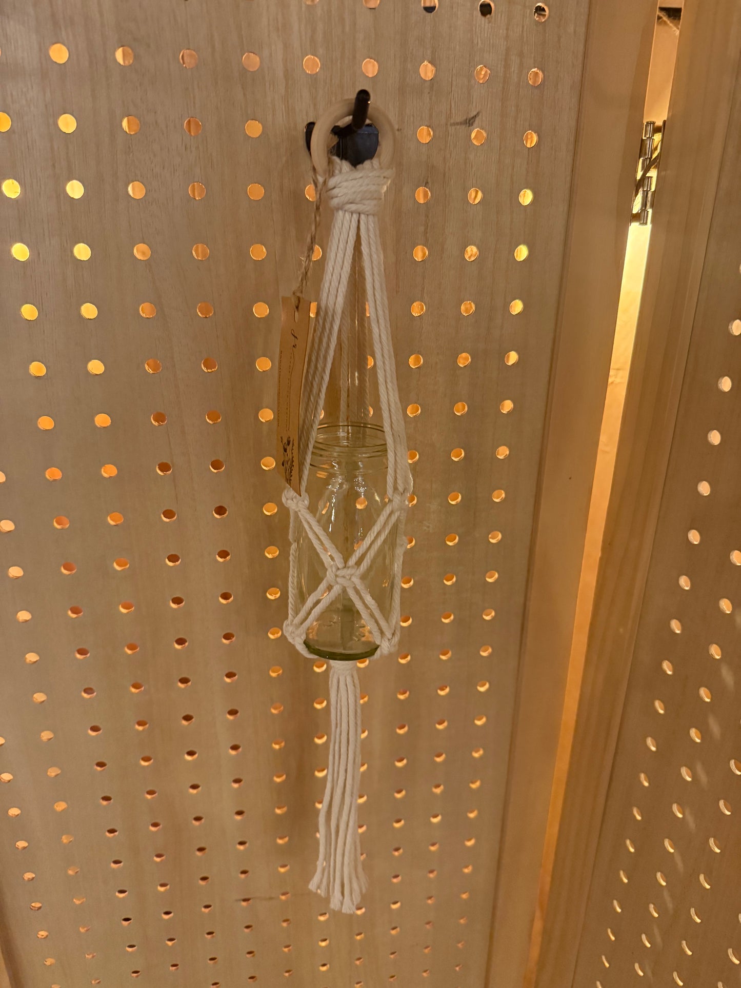 Propagation Plant Hanger